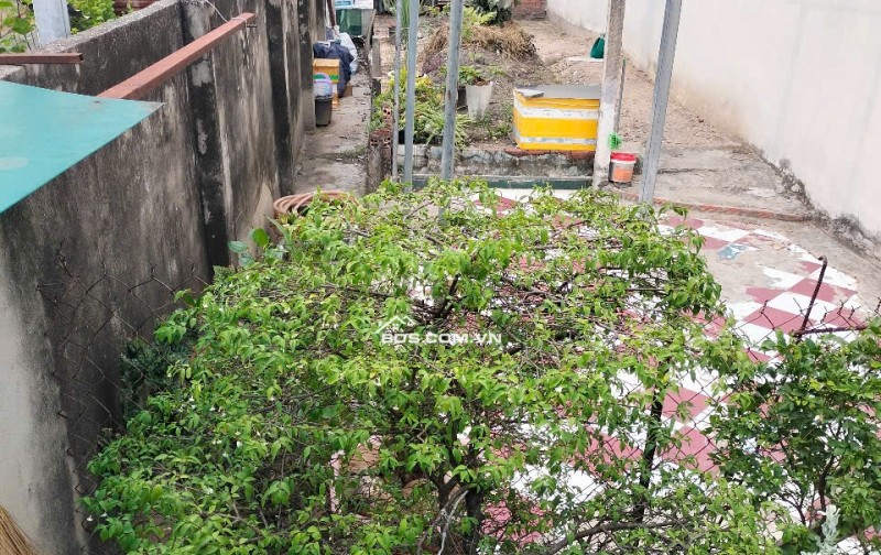 Bán Gấp Đất nền Trần Thị Cờ Q.12, 4-17m, 68m2, Chỉ 3.67 tỷ